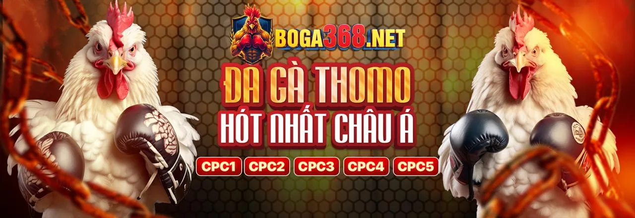 Đá gà trực tuyến kingbet86 info