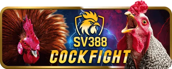 Hướng dẫn cá cược thể thao Kingbet86 Info