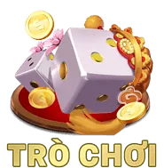 Hỗ trợ toàn diện
